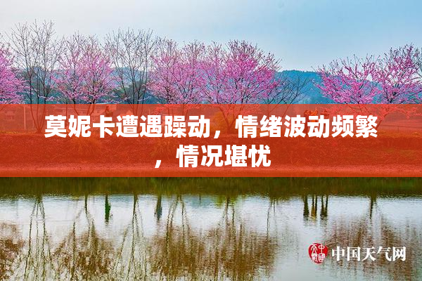 莫妮卡遭遇躁动，情绪波动频繁，情况堪忧