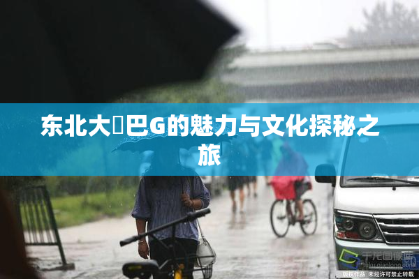东北大鷄巴G的魅力与文化探秘之旅