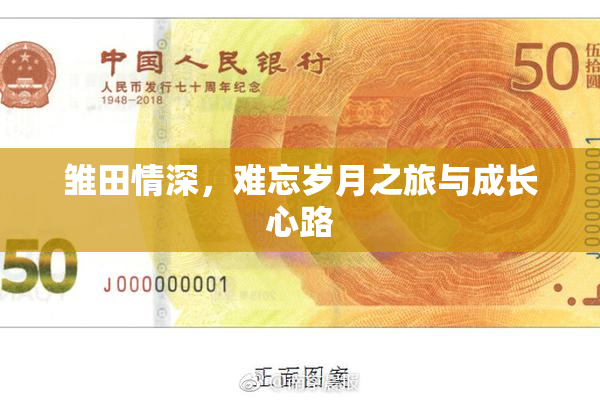 雏田情深，难忘岁月之旅与成长心路