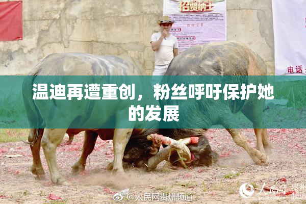 温迪再遭重创，粉丝呼吁保护她的发展