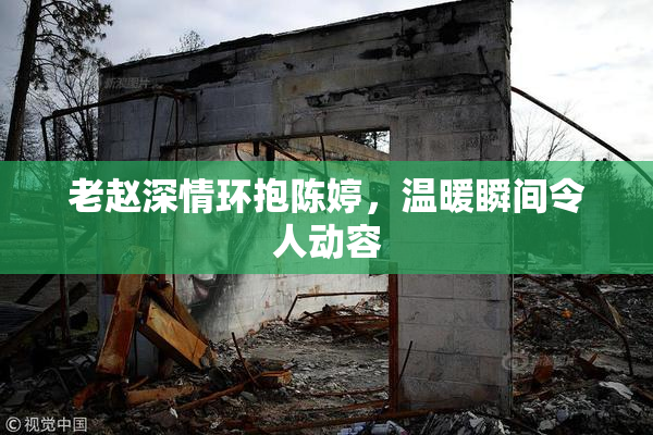 老赵深情环抱陈婷，温暖瞬间令人动容