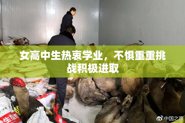 女高中生热衷学业，不惧重重挑战积极进取