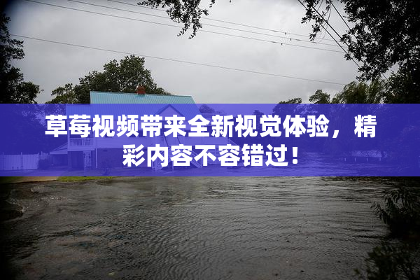 草莓视频带来全新视觉体验，精彩内容不容错过！