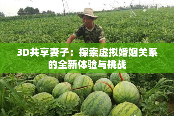 3D共享妻子：探索虚拟婚姻关系的全新体验与挑战