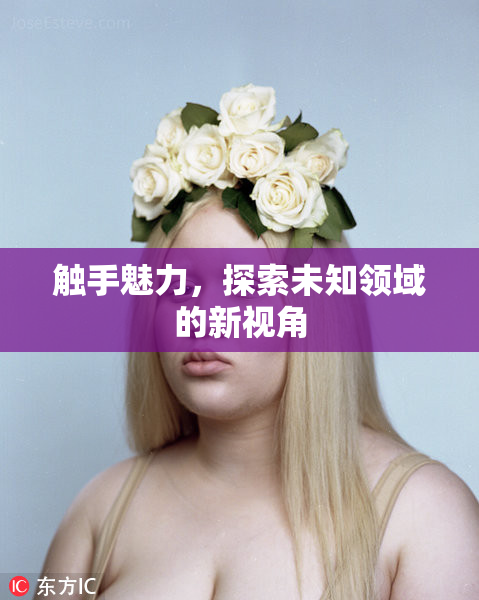 触手魅力，探索未知领域的新视角