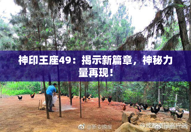 神印王座49：揭示新篇章，神秘力量再现！