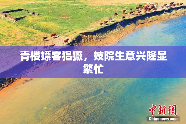 青楼嫖客猖獗，妓院生意兴隆显繁忙