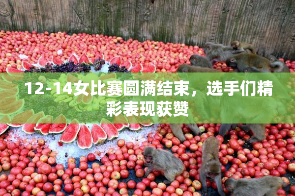 12-14女比赛圆满结束，选手们精彩表现获赞
