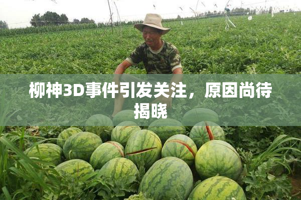 柳神3D事件引发关注，原因尚待揭晓