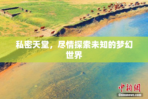 私密天堂，尽情探索未知的梦幻世界