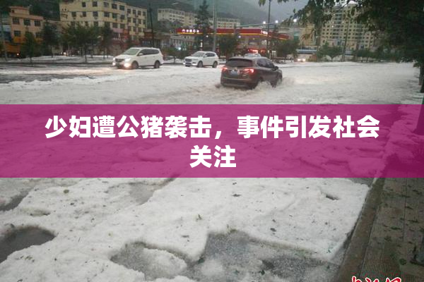 少妇遭公猪袭击，事件引发社会关注
