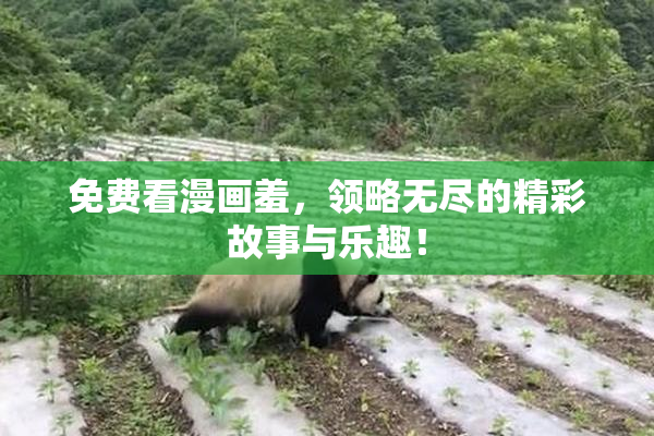 免费看漫画羞，领略无尽的精彩故事与乐趣！