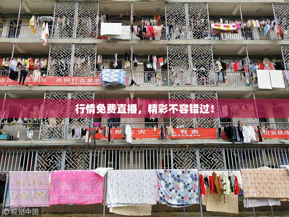 行情免费直播，精彩不容错过！
