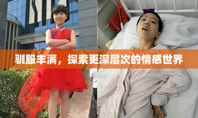 驯服丰满，探索更深层次的情感世界