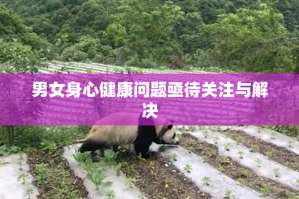 男女身心健康问题亟待关注与解决