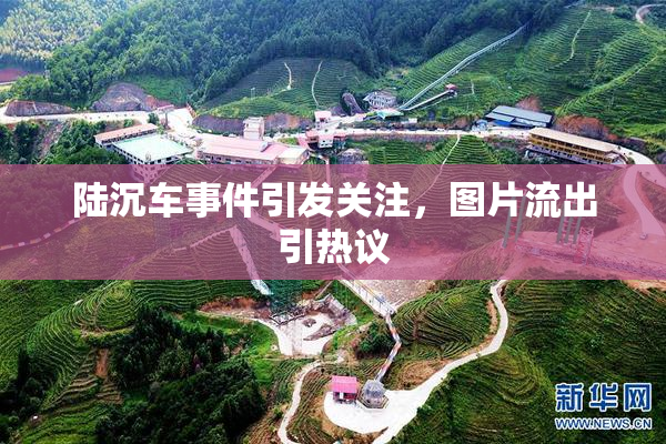 陆沉车事件引发关注，图片流出引热议