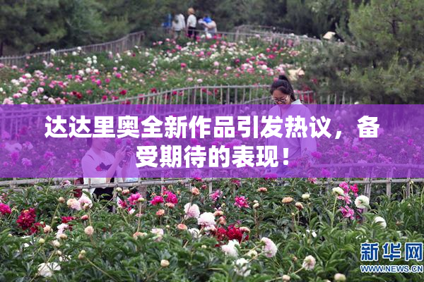 达达里奥全新作品引发热议，备受期待的表现！