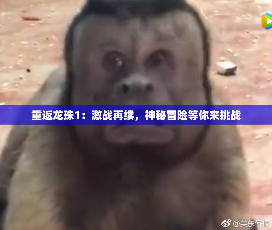 重返龙珠1：激战再续，神秘冒险等你来挑战