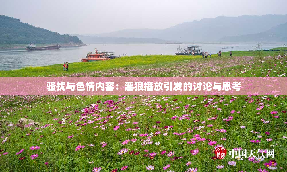 骚扰与色情内容：淫狼播放引发的讨论与思考