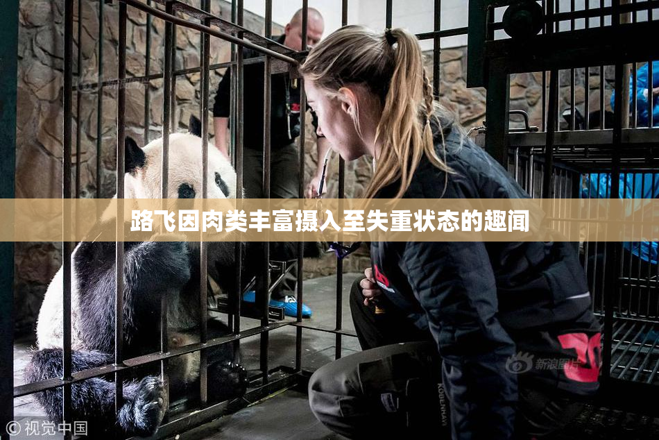 路飞因肉类丰富摄入至失重状态的趣闻