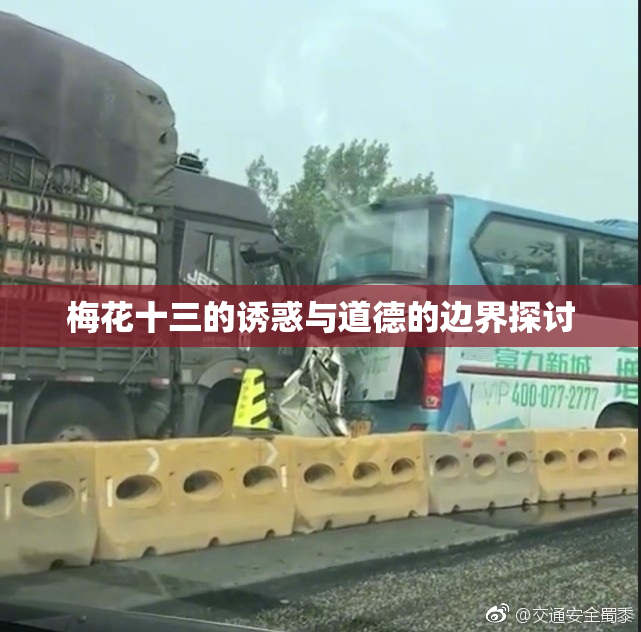 梅花十三的诱惑与道德的边界探讨