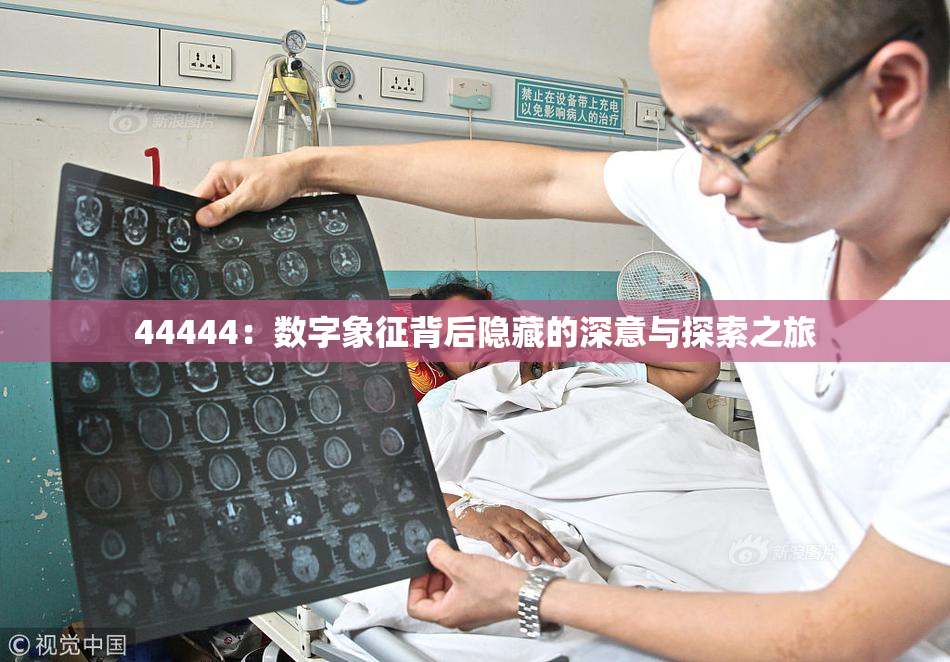 44444：数字象征背后隐藏的深意与探索之旅