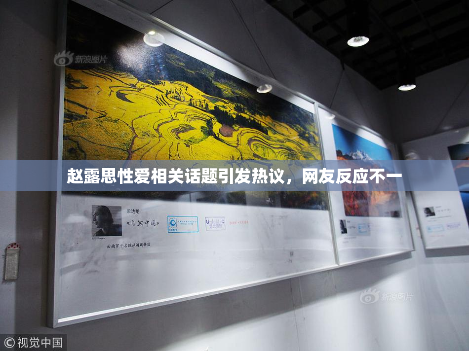 赵露思性爱相关话题引发热议，网友反应不一