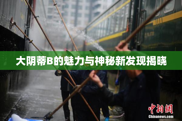大阴蒂B的魅力与神秘新发现揭晓