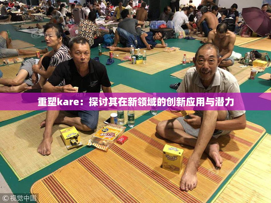 重塑kare：探讨其在新领域的创新应用与潜力