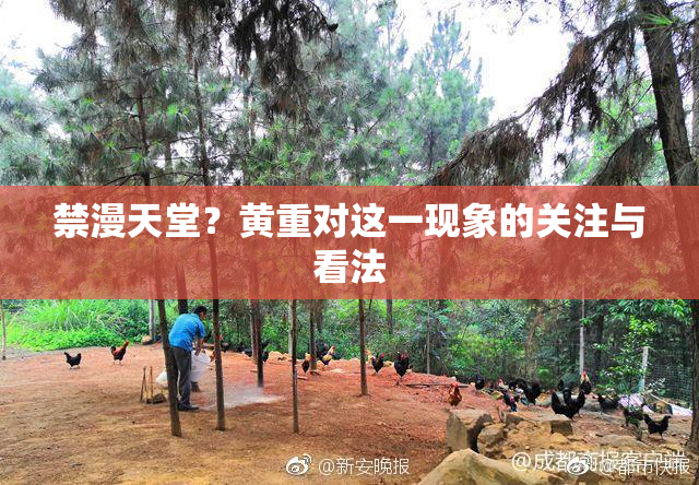 禁漫天堂？黄重对这一现象的关注与看法