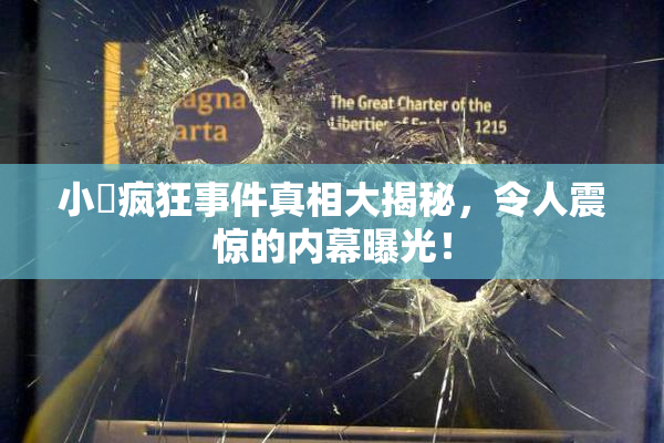 小泬疯狂事件真相大揭秘，令人震惊的内幕曝光！