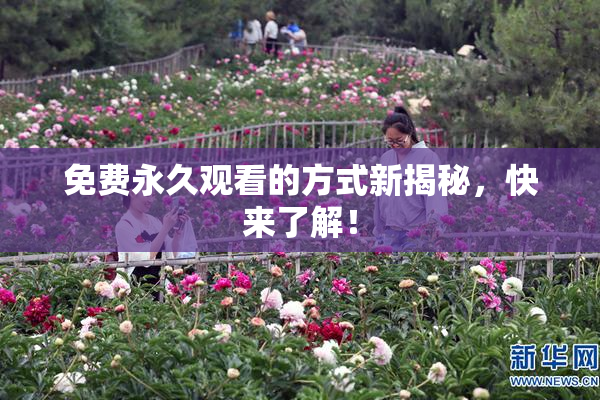 免费永久观看的方式新揭秘，快来了解！