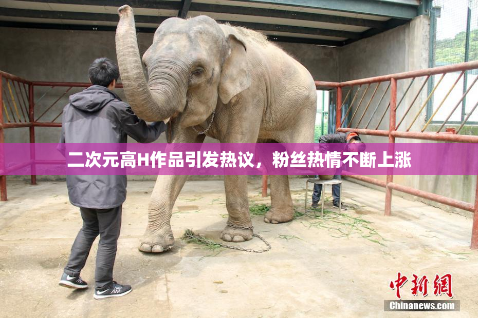 二次元高H作品引发热议，粉丝热情不断上涨
