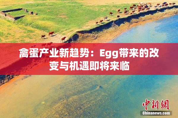 禽蛋产业新趋势：Egg带来的改变与机遇即将来临