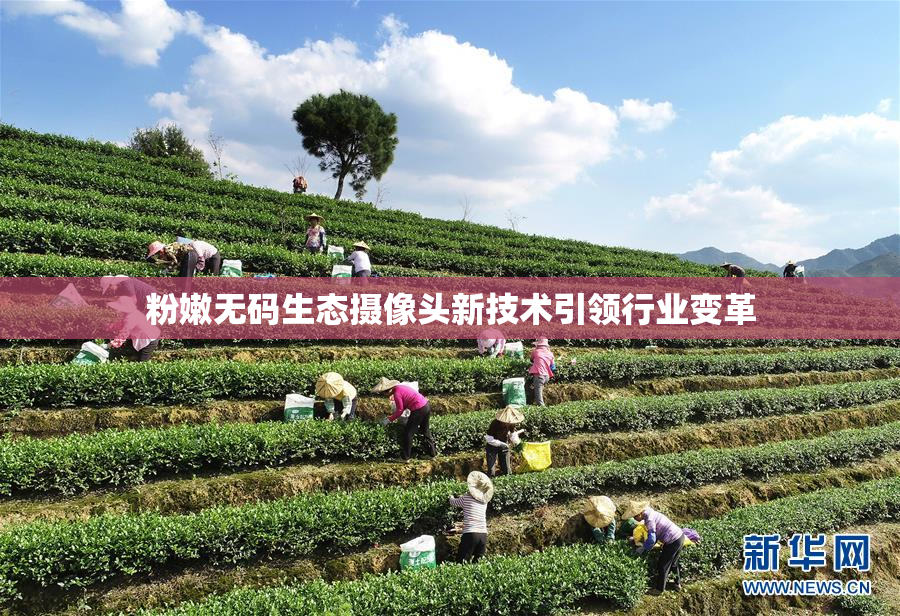 粉嫩无码生态摄像头新技术引领行业变革