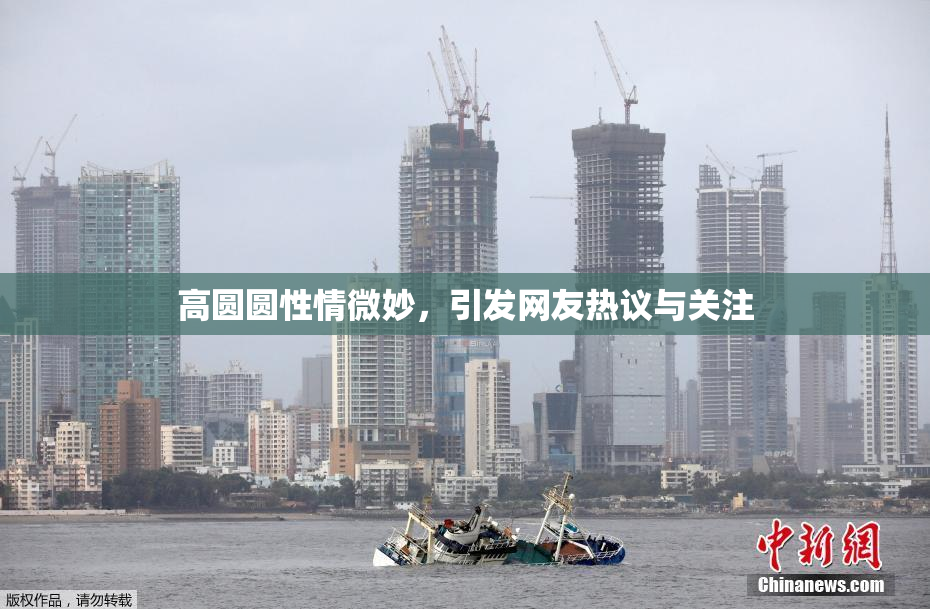 高圆圆性情微妙，引发网友热议与关注