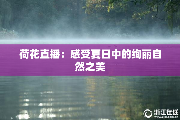 荷花直播：感受夏日中的绚丽自然之美