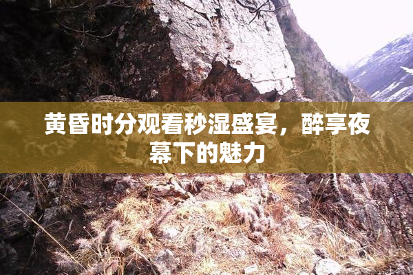 黄昏时分观看秒湿盛宴，醉享夜幕下的魅力