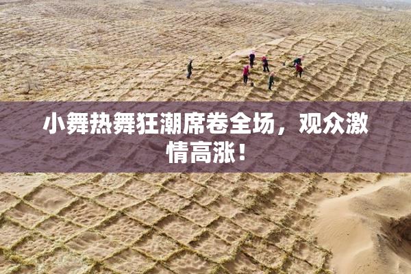 小舞热舞狂潮席卷全场，观众激情高涨！