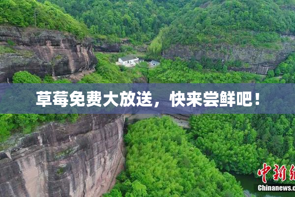 草莓免费大放送，快来尝鲜吧！