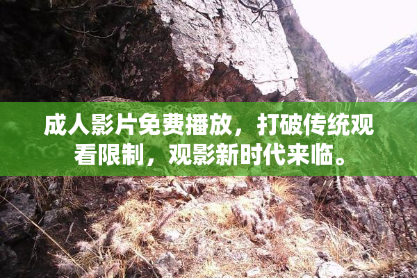 成人影片免费播放，打破传统观看限制，观影新时代来临。