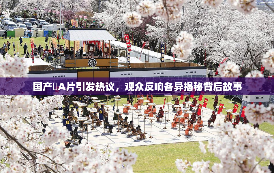 国产婬A片引发热议，观众反响各异揭秘背后故事