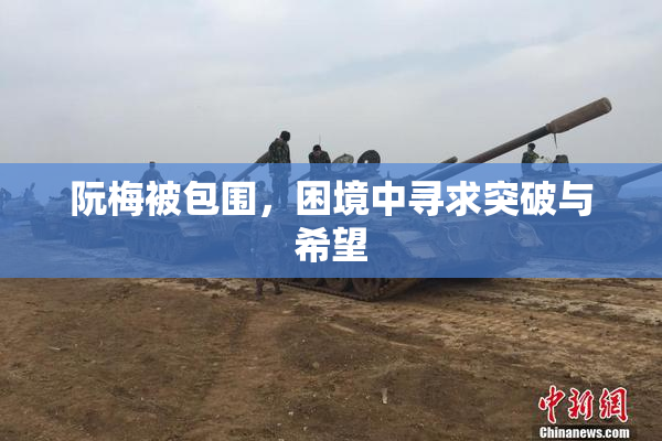阮梅被包围，困境中寻求突破与希望