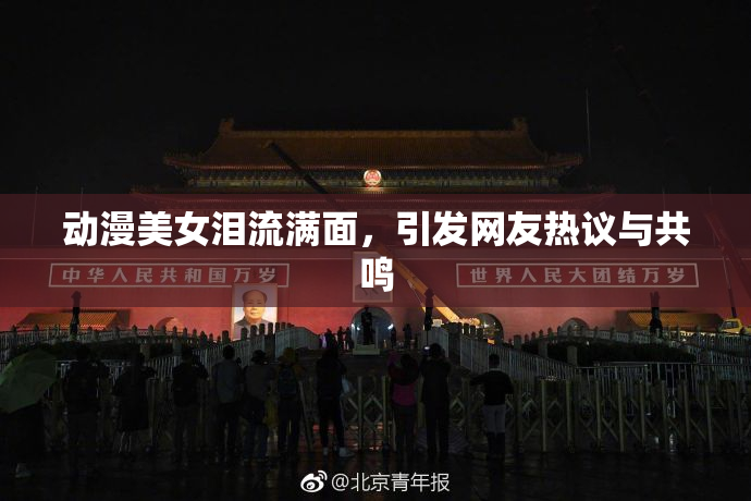 动漫美女泪流满面，引发网友热议与共鸣
