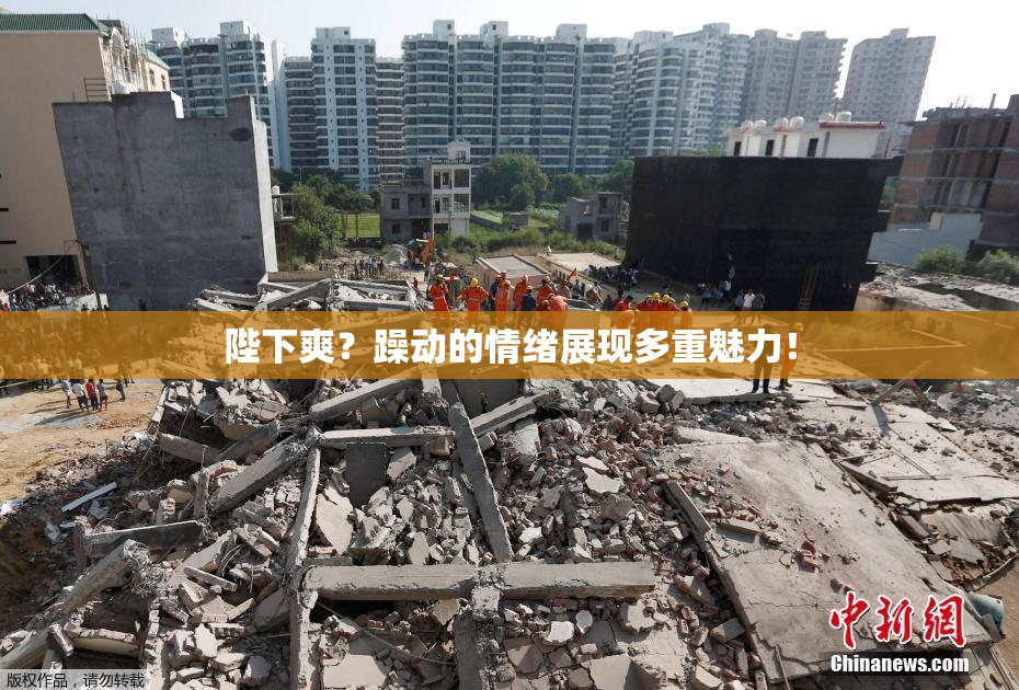 陛下爽？躁动的情绪展现多重魅力！