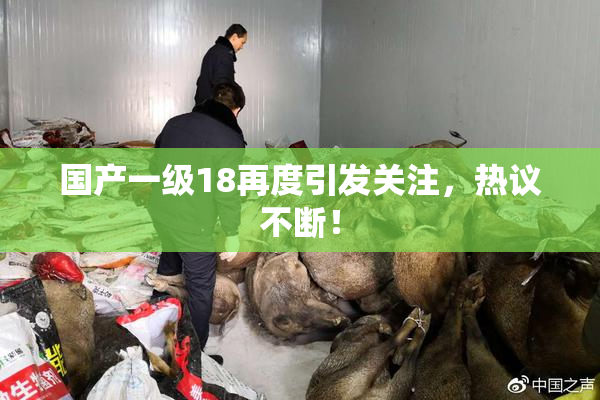 国产一级18再度引发关注，热议不断！
