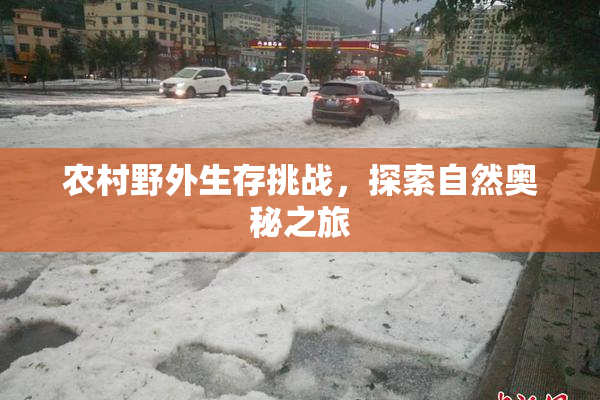 农村野外生存挑战，探索自然奥秘之旅