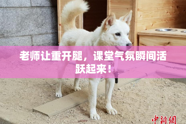 老师让重开腿，课堂气氛瞬间活跃起来！