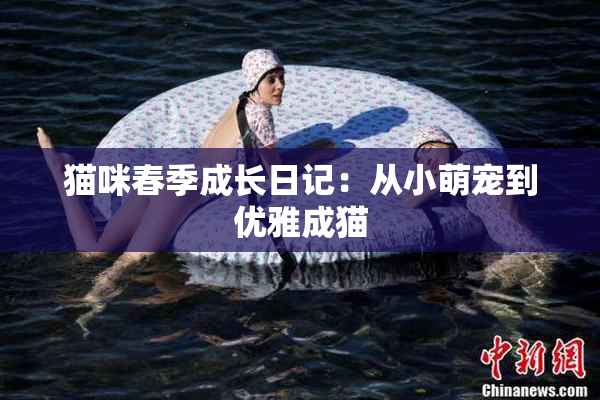 猫咪春季成长日记：从小萌宠到优雅成猫