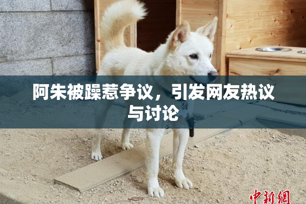 阿朱被躁惹争议，引发网友热议与讨论